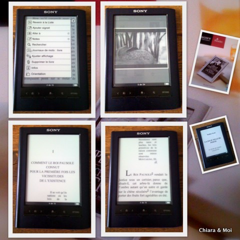 Ebook_Sony Reader PSR-350